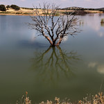 IMG_2197 Dam - Embalse de la Cabezuela NO 1