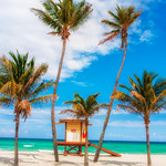 Lifeguard House and Palm Trees Updated