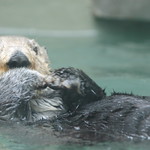 Easier to See You.....