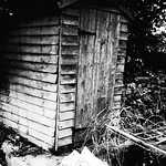 Shed Noir