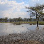 nakuru 144