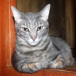 Hanate photo of the day 6/19/2015