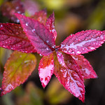 The Calm After The Rain