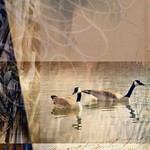 You do not have to be good ...