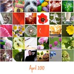 April 2010
