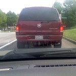 day sixty-two of p365!!