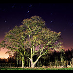 065: The Pathway of a Star