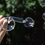 bubbles