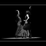 FLAMENCO I