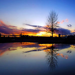 Purple, Pinks and Blues. Oh my!