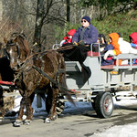 SFF 2010 - Horse-drawn Wagon Rides-1