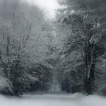 The Never Ending Story