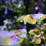 @ night, when things come alive