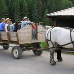 Wagon Ride Whitefish, Montana