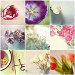 Things I Love Thursdays | Flowers