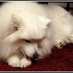 You're Simply The Best!