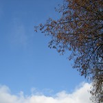 Blue sky and sunshine