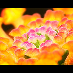 The Core.. {Explored + Front Page}