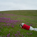 Out of my way, I'm an ecologist