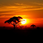 Sunset Amboseli