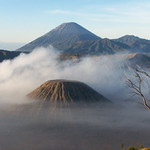 Bromo Tours - EastJava - Trekking Sunrise