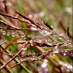 Accanto a noi vivono mondi perfetti che non sappiamo vedere