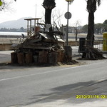 Sant Antoni 2010 003