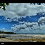 singleness of purpose