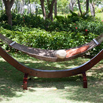 Hammock