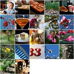 365@50mm Mosaic: July 2010