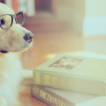 A fresh start. 1|7 (explore!)