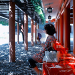 The shady spot; Hie Shrine, Akasaka, Tokyo