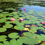 kayaking july 2010 038