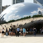 The bean