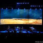 Jack Johnson plays Charlotte