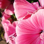 The art of being wise is the art of knowing what to overlook - William James