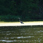 kayaking july 2010 065
