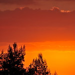 VAR_0212_p1 "Communicational Sunset"