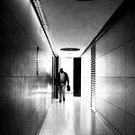 Reichstag per pochi intimi