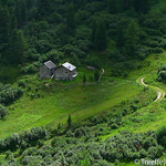Small barns in the green