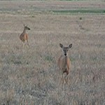 Favorite time of day ...