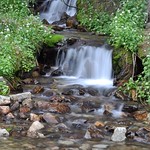 Spring Creek ford in the Upper Tomichi Valley