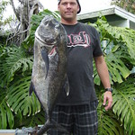 Easter Ulua