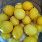 Preserving Meyer Lemons