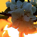 " Each day ... Is Valentine's day ... "