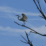 kayaking july 2010 091