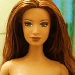 honey! i shrunk my head!