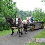 Wagon Ride