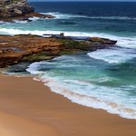 Mushburger at Narrabeen
