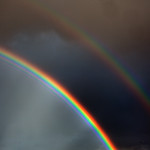 0831 / Memes Disabled